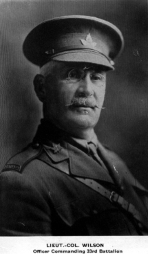 Lt. Col. Wilson, commander 33 bn.